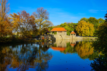 Leipzig Palmengarten