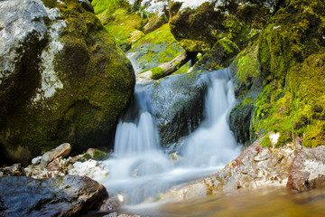 Fototapeta na wymiar Soča River in Slovenija. The river is known as the emerald river due to its clear water