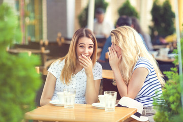 Two young girlfriends sitting in a cafe chatting and drinking coffee