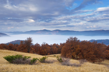 Beautiful morning mist in the mountains