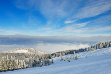 Winter landscape with a mountain forest