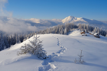 Naklejka premium Winter landscape with footpath in the snow