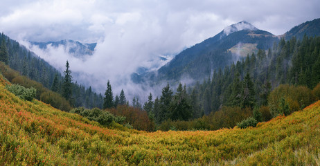 Autumn Landscape with fog in mountains