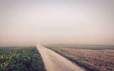 Feldweg im Nebel