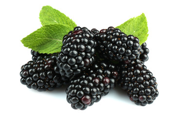Sweet blackberries with mint isolated on white