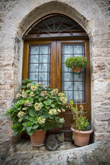 Fototapeta na wymiar Window with plants and cat in the village of Spello, in Umbria (Italy)