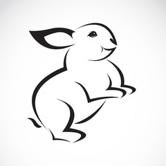 Vector image of an rabbit design on white background