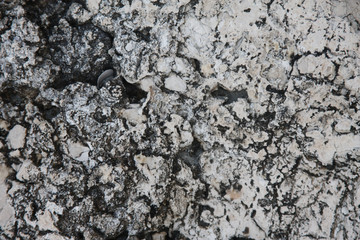 stone texture