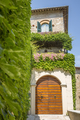 Entry of house wall covered with ivy, ancient village of Spello in Umbria (Italy)