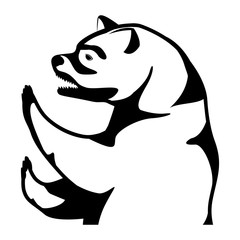 Bear design