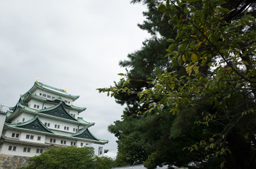 名古屋城
