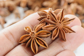 Star anise