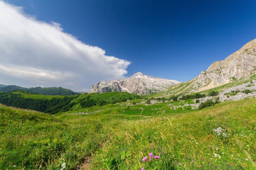 Obraz premium North Caucasus