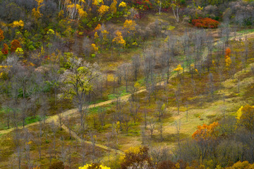 autumn valley, river bluffs state park