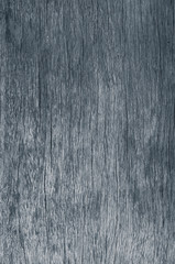 Fototapeta premium 木のテクスチャ