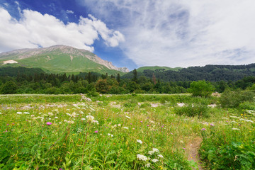 Fototapeta na wymiar North Caucasus