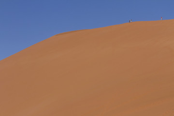 Dune 45 in Namib Naukluft National Park, near Sossousvlei. In the Tsauchab valley. 