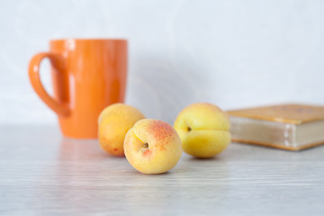 Summer set for lovers of reading