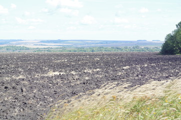 Rural landscape field  with arable