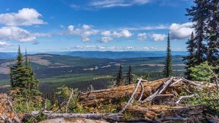 View from Tod Mountain in the Shuswap Highlands of British Columbia, Canada, with fallen trees in the foreground