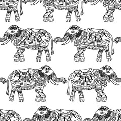 Fototapeta premium elephants background