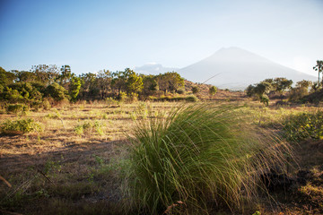 Naklejka premium Volcano Agung. Bali - Indonesia.