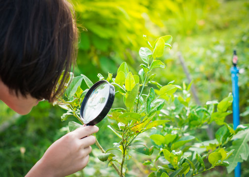 girl hand looking for insect