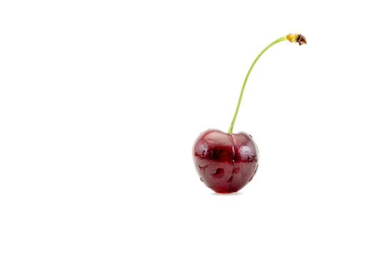One cherrie isolated on white background
