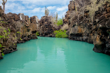 Beautiful landmark Las Grietas is a geological canyon formation