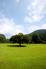 青と緑に包まれてno.3