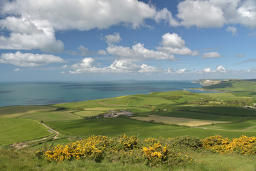View from summit of Swyre Head, Dorset