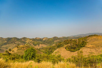 Naklejka premium Decimated deforestation mountains