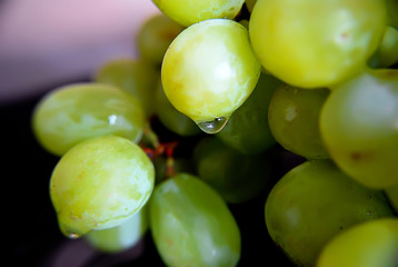 grapes green with drops of water close-up