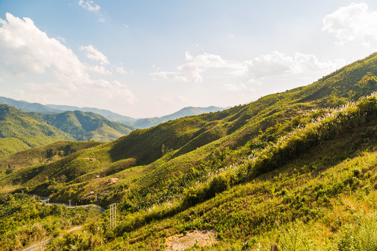 Decimated deforestation mountains