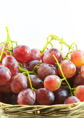 grapes in basket