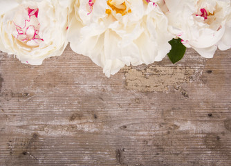 Floral background with white peonies on wooden background
