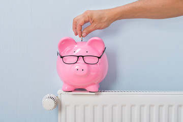 Man Inserting Coin In Piggy Bank
