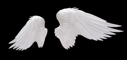 Fotobehang white angel wing isolated © jakkapan