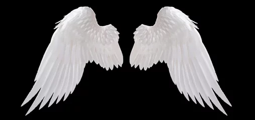 Foto op Plexiglas witte engel vleugel geïsoleerd © jakkapan