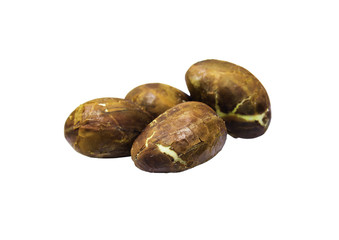 Champedak seed isolated