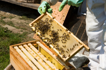 Checking a honeycomb