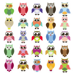 vector set of owls