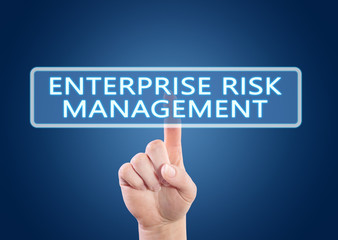 Enterprise Risk Management