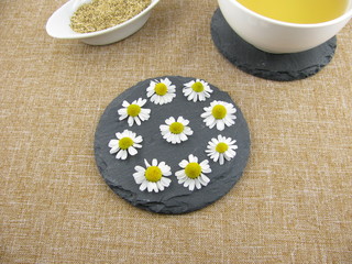 Frische Kamillenblüten und Kamillentee