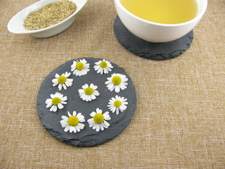 Frische Kamillenblüten und Kamillentee