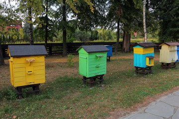 bee hives