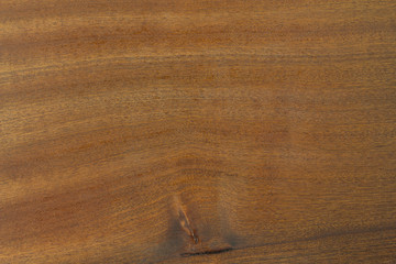 Brown Wood Texture #2