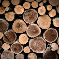 Firewood