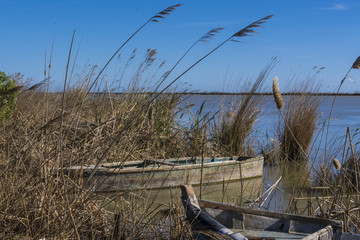 Boats damaged by neglect