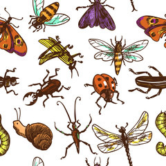 Insects sketch seamless pattern color
